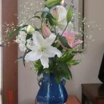 4月27日礼拝のご案内