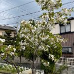 4月20日礼拝のご案内