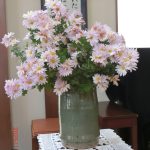 2025年11月16日　礼拝説教『わが神、わが神、なぜ私を』(動画33分）