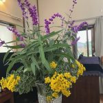 2025年11月23日　礼拝説教『イエスの遺体を納めた場所』(動画35分）