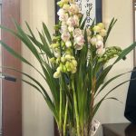 2026年1月11日　礼拝説教『聖霊による洗礼』（動画34分）