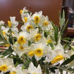 2026年1月25日　礼拝説教『心を合わせて熱心に』（動画36分）