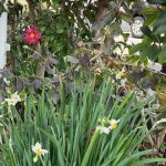 2026年2月1日 礼拝のご案内