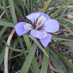 2026年1月25日 礼拝のご案内