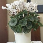 2026年2月1日　礼拝説教『すべての人の心をご存知で』（35分）