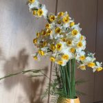 2026年2月15日　礼拝説教『言葉で神の偉大な業を聞く』（動画33分）