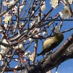 2026年2月8日 礼拝のご案内