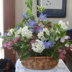 2026年3月22日　礼拝説教『キリストの名によって立ち上がり』（動画38分）