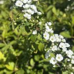 2026年3月22日 礼拝のご案内